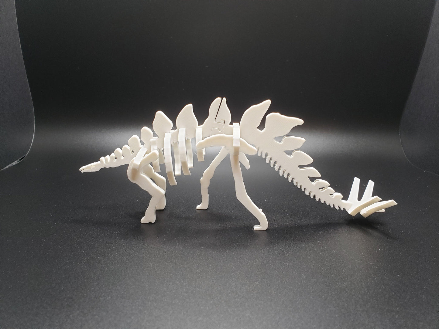 Kit Card - Stegosaurus - SGM Design Lab