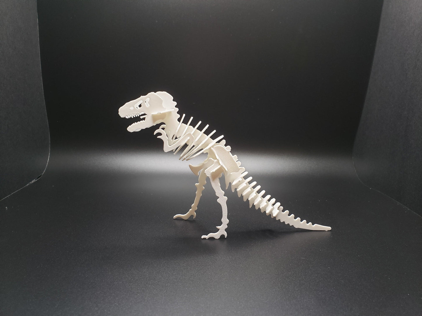 Kit Card - T-Rex - SGM Design Lab