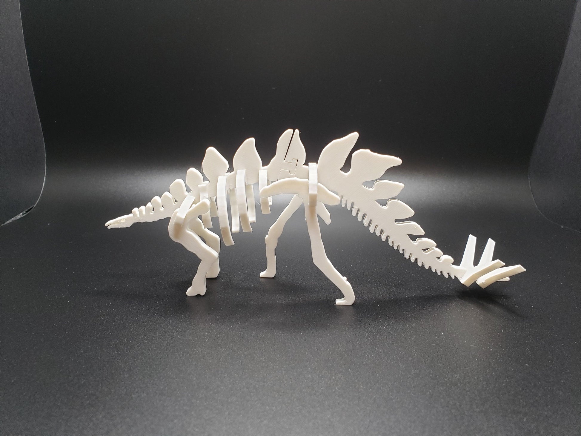 Kit Card - Stegosaurus - SGM Design Lab