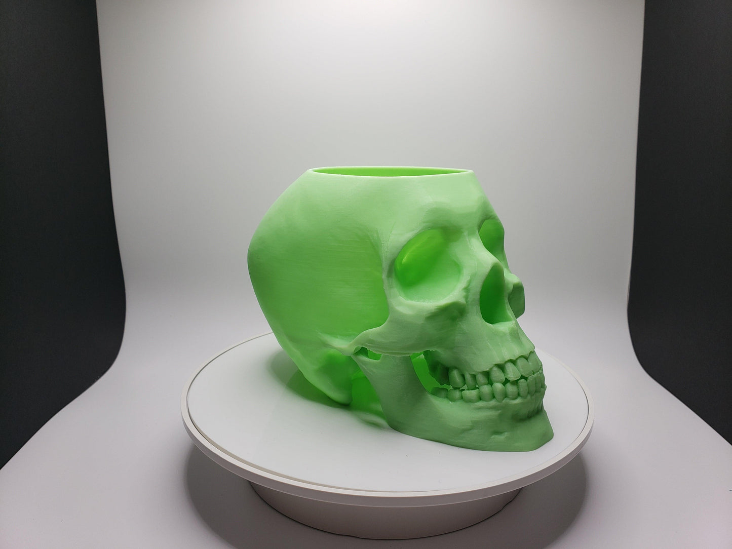 Skull Pot - SGM Design Lab
