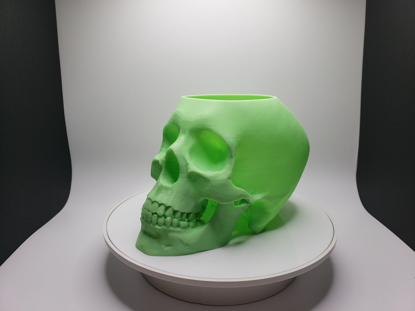 Skull Pot - SGM Design Lab