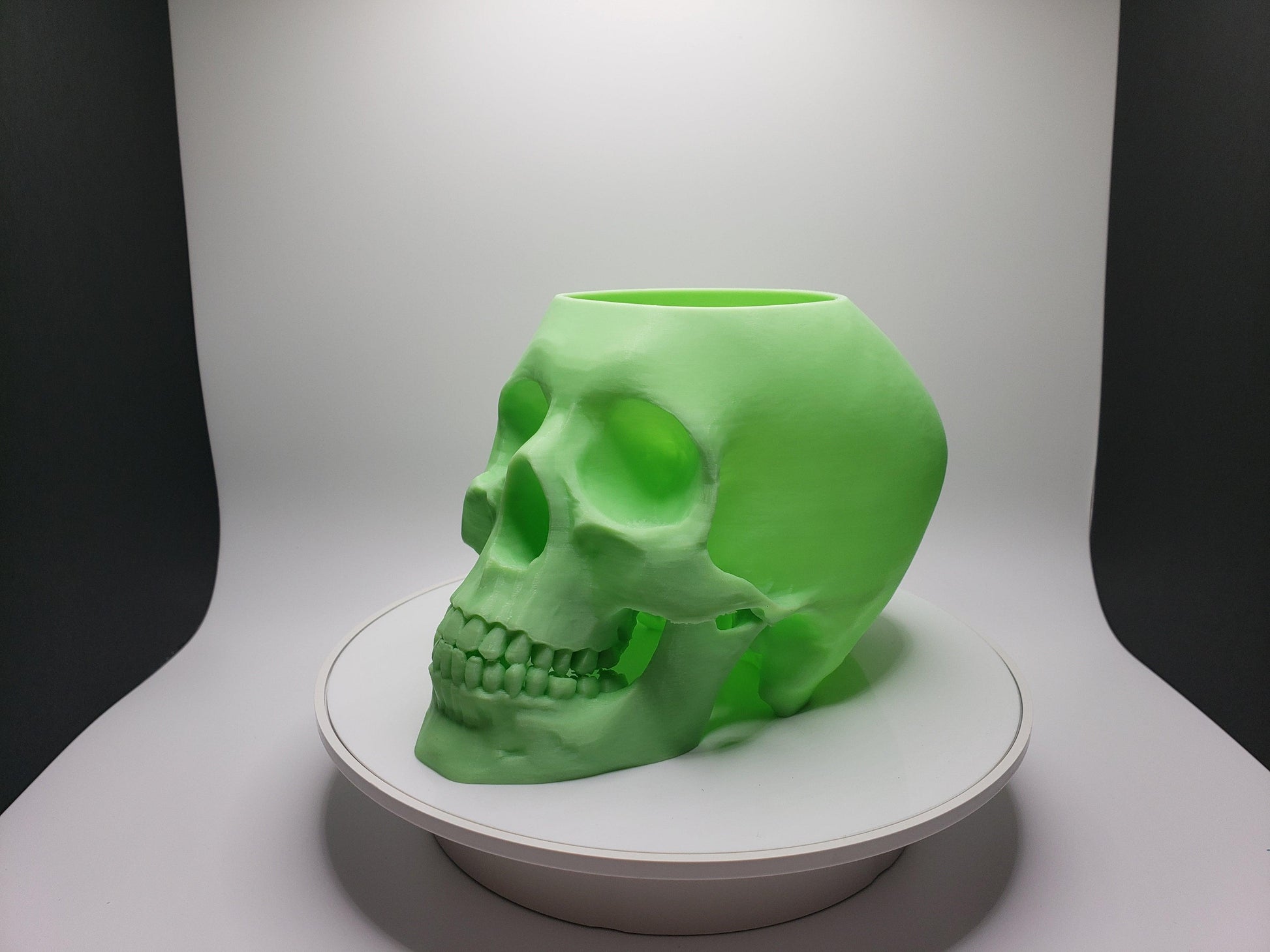Skull Pot - SGM Design Lab