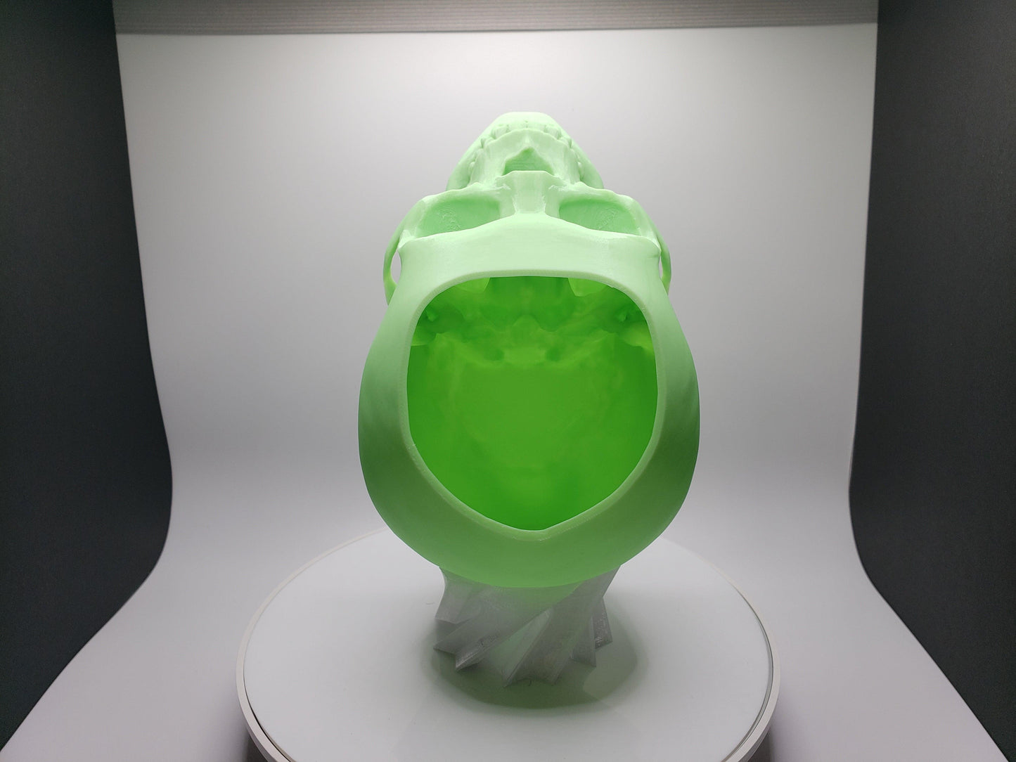 Skull Pot - SGM Design Lab