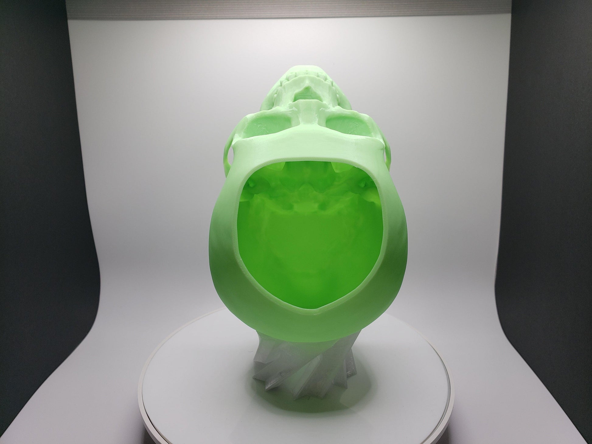 Skull Pot - SGM Design Lab